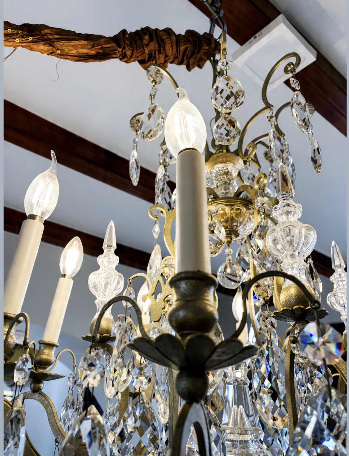 Lampara colgante Australiana